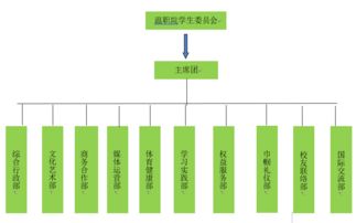 一封來自共青團的信 讓大學生活多姿多彩，溫職院十二大組織招新啟航