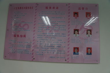 領先CMS建站服務商 專注研發，賦能高效建站